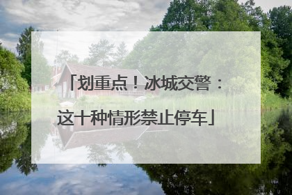划重点！冰城交警：这十种情形禁止停车