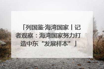 列国鉴·海湾国家丨记者观察：海湾国家努力打造中东“发展样本”