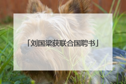 刘国梁获联合国聘书
