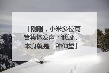 刚刚，小米多位高管集体发声：诋毁，本身就是一种仰望