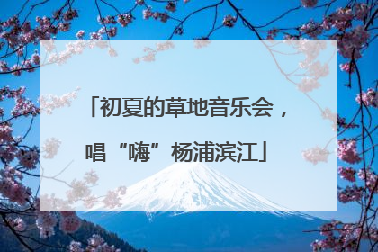 初夏的草地音乐会，唱“嗨”杨浦滨江