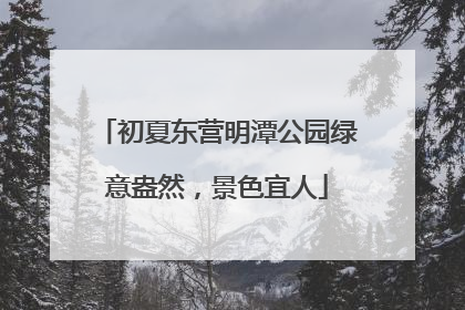 初夏东营明潭公园绿意盎然，景色宜人