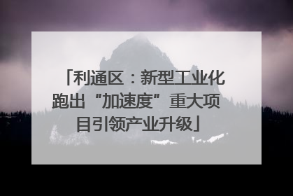 利通区：新型工业化跑出“加速度”重大项目引领产业升级
