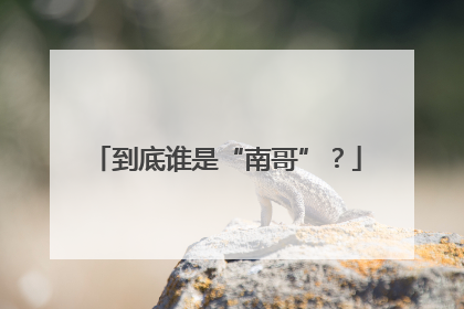 到底谁是“南哥”？
