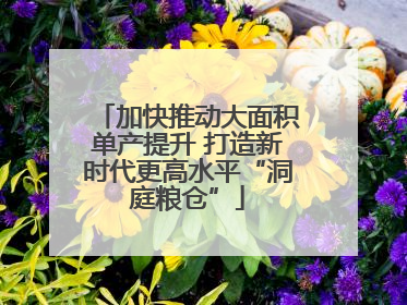 加快推动大面积单产提升 打造新时代更高水平“洞庭粮仓”