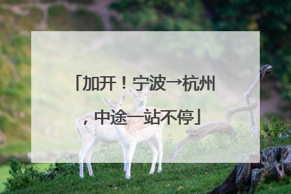加开！宁波→杭州，中途一站不停