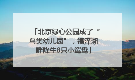北京绿心公园成了“鸟类幼儿园”，福泽湖畔降生8只小鸳鸯