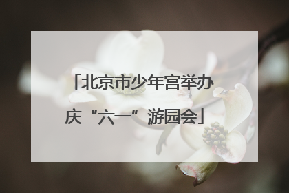 北京市少年宫举办庆“六一”游园会
