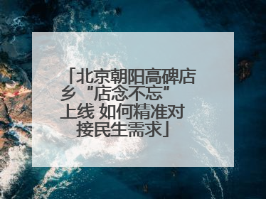 北京朝阳高碑店乡“店念不忘” 上线 如何精准对接民生需求