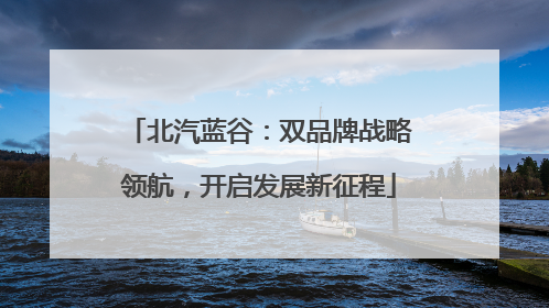 北汽蓝谷：双品牌战略领航，开启发展新征程
