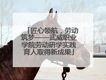 匠心领航，劳动筑梦——武威职业学院劳动研学实践育人取得新成果
