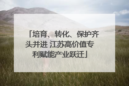 培育、转化、保护齐头并进 江苏高价值专利赋能产业跃迁