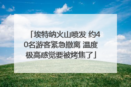埃特纳火山喷发 约40名游客紧急撤离 温度极高感觉要被烤焦了