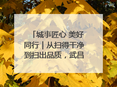 城事匠心 美好同行｜从扫得干净到扫出品质，武昌临江大道“洗”出洁净样板路