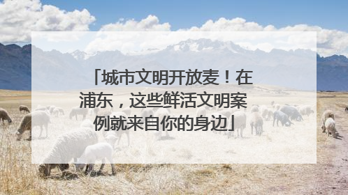 城市文明开放麦！在浦东，这些鲜活文明案例就来自你的身边