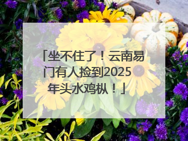 坐不住了！云南易门有人捡到2025年头水鸡枞！