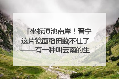 坐标滇池南岸！晋宁这片镜面稻田藏不住了——有一种叫云南的生活之365天