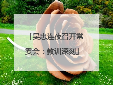 吴忠连夜召开常委会：教训深刻