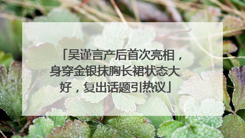 吴谨言产后首次亮相，身穿金银抹胸长裙状态大好，复出话题引热议