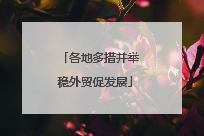 各地多措并举稳外贸促发展