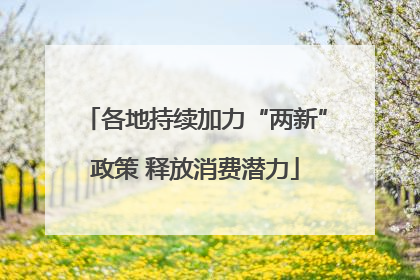 各地持续加力“两新”政策 释放消费潜力
