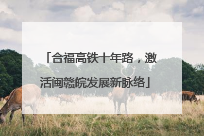 合福高铁十年路，激活闽赣皖发展新脉络