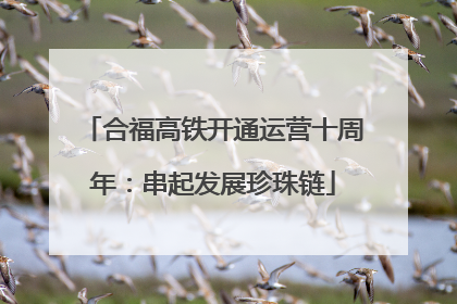 合福高铁开通运营十周年：串起发展珍珠链