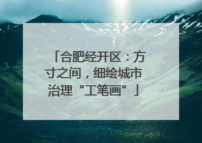 合肥经开区：方寸之间，细绘城市治理“工笔画”