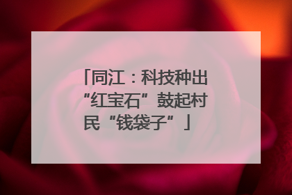 同江：科技种出“红宝石”鼓起村民“钱袋子”