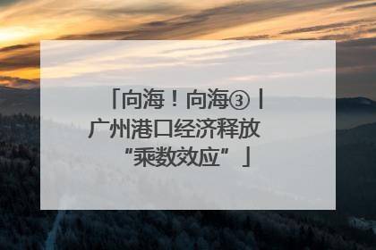 向海！向海③丨广州港口经济释放“乘数效应”