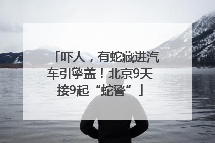 吓人，有蛇藏进汽车引擎盖！北京9天接9起“蛇警”