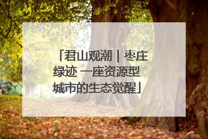 君山观潮｜枣庄绿迹 一座资源型城市的生态觉醒