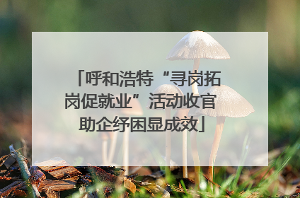呼和浩特“寻岗拓岗促就业”活动收官 助企纾困显成效
