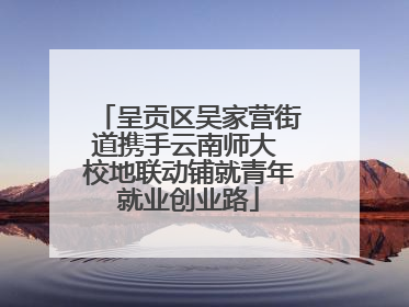 呈贡区吴家营街道携手云南师大 校地联动铺就青年就业创业路