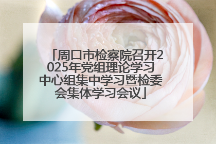 周口市检察院召开2025年党组理论学习中心组集中学习暨检委会集体学习会议