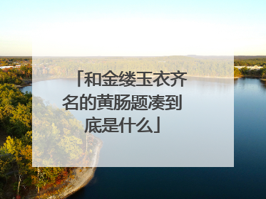 和金缕玉衣齐名的黄肠题凑到底是什么