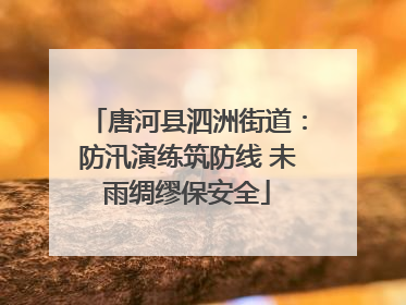 唐河县泗洲街道：防汛演练筑防线 未雨绸缪保安全