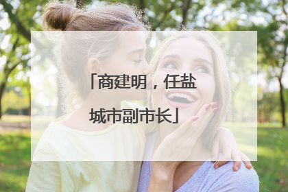 商建明，任盐城市副市长