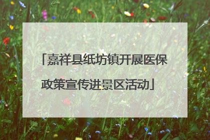 嘉祥县纸坊镇开展医保政策宣传进景区活动