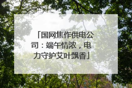 国网焦作供电公司：端午情浓，电力守护艾叶飘香
