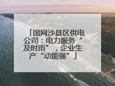 国网沙县区供电公司：电力服务“及时雨”，企业生产“动能强”