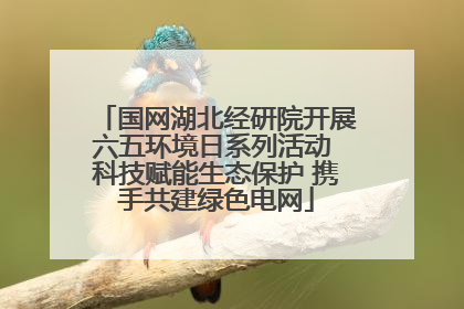 国网湖北经研院开展六五环境日系列活动 科技赋能生态保护 携手共建绿色电网