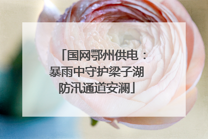 国网鄂州供电：暴雨中守护梁子湖防汛通道安澜