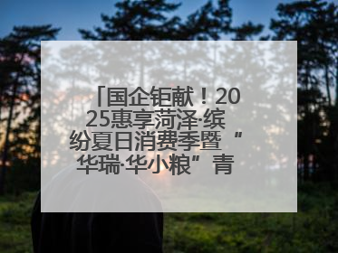 国企钜献！2025惠享菏泽·缤纷夏日消费季暨“华瑞·华小粮”青岛啤酒节启幕！