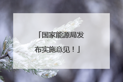 国家能源局发布实施意见！