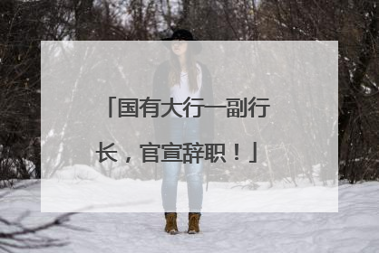 国有大行一副行长，官宣辞职！