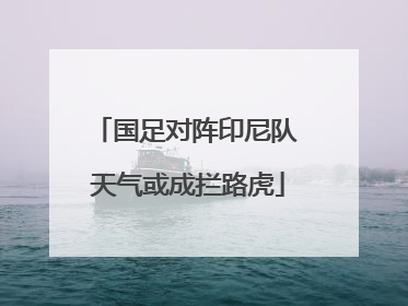 国足对阵印尼队 天气或成拦路虎