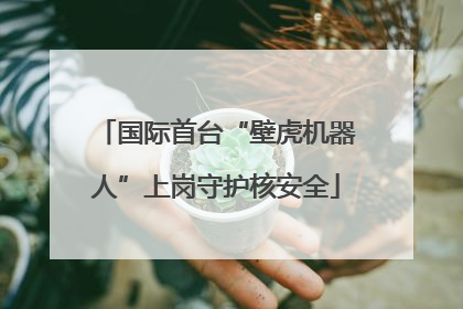 国际首台“壁虎机器人”上岗守护核安全