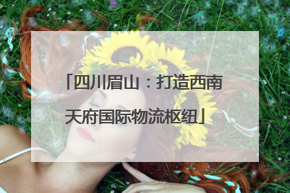 四川眉山：打造西南天府国际物流枢纽
