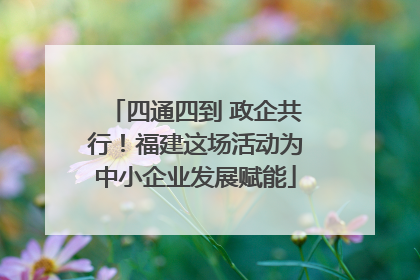 四通四到 政企共行！福建这场活动为中小企业发展赋能